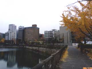 大阪の行政書士事務所　ブログ画像